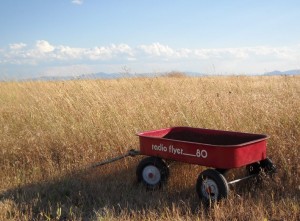 red-wagon