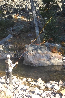 creek fishin'