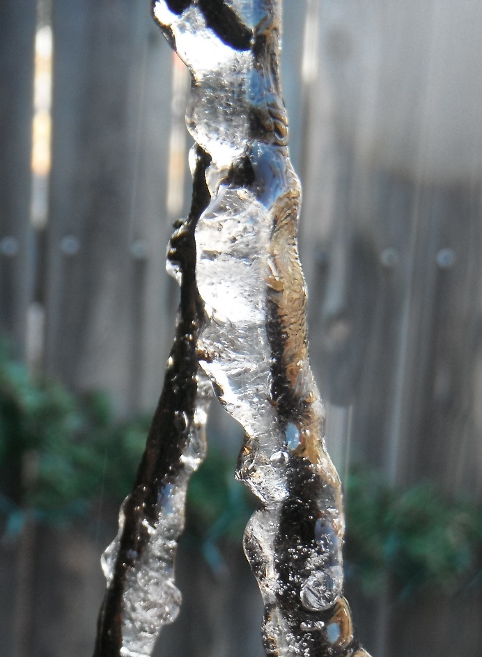 ice on barbed wire