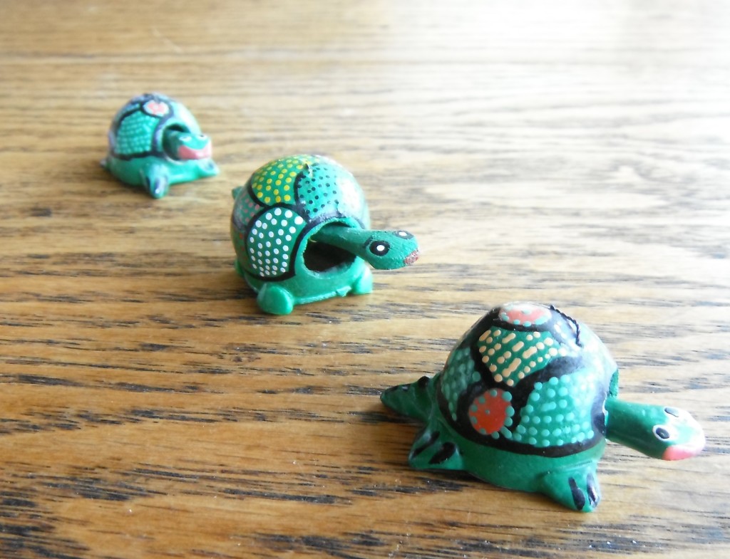 little turtles all in a row